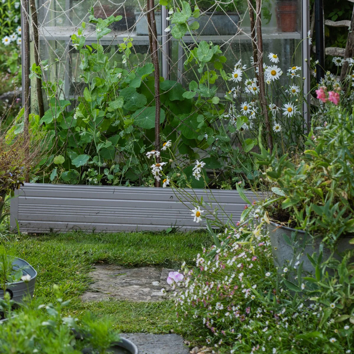 Rhino Aluminium Raised Bed 2ft x 4ft - Single Tier - Image 5