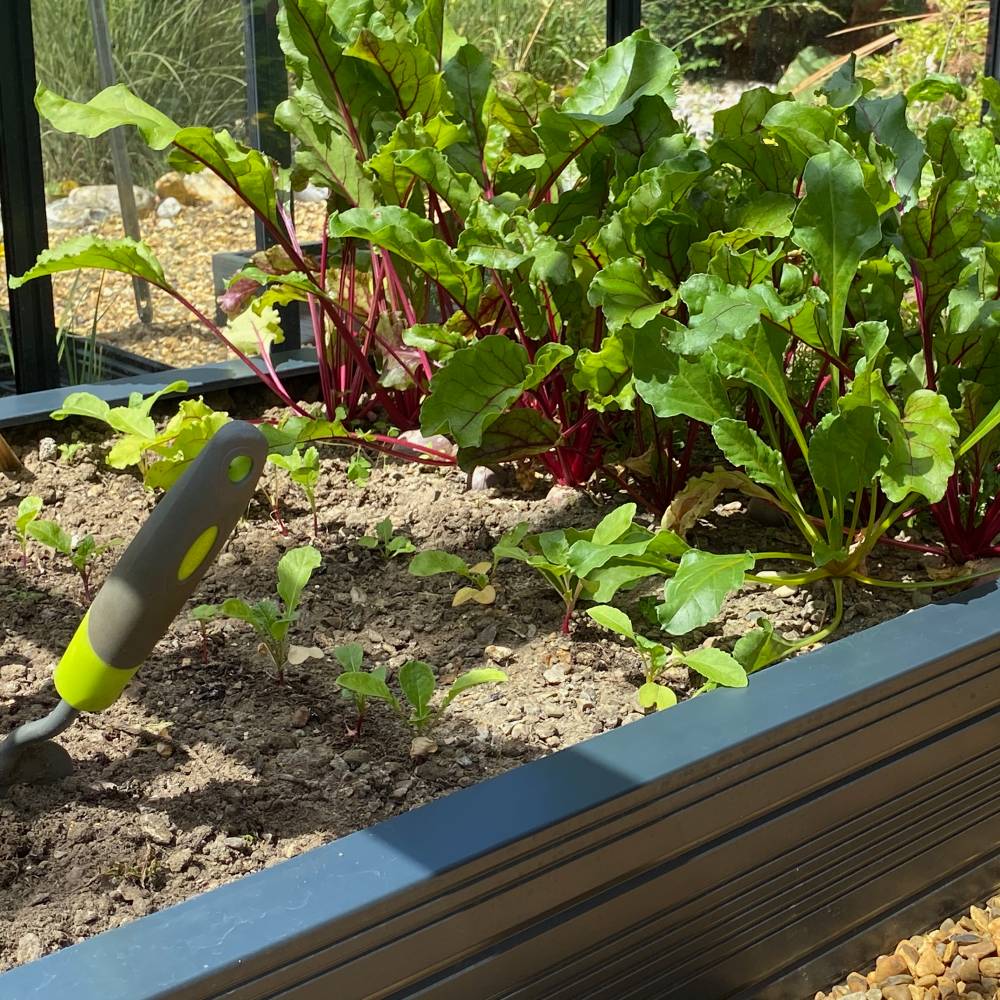 Rhino Aluminium Raised Bed 2ft x 6ft - Double Tier - Image 6