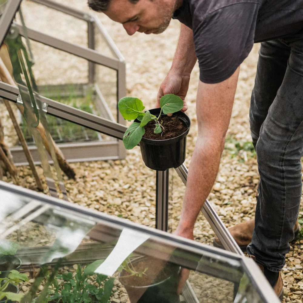 Rhino Cold Frame - 2.5ft x 3ft - Image 6