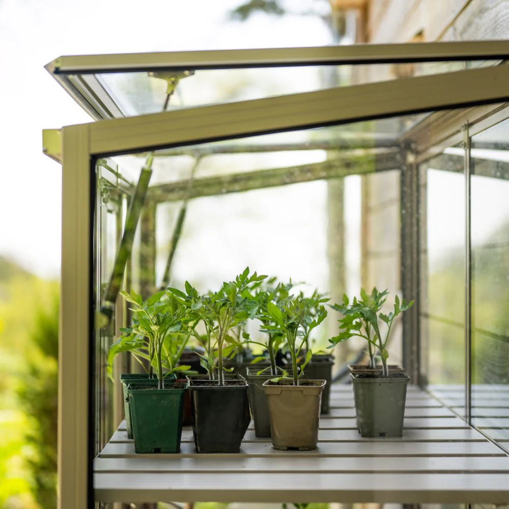 Rhino Patio Greenhouse 2x4 - Image 11