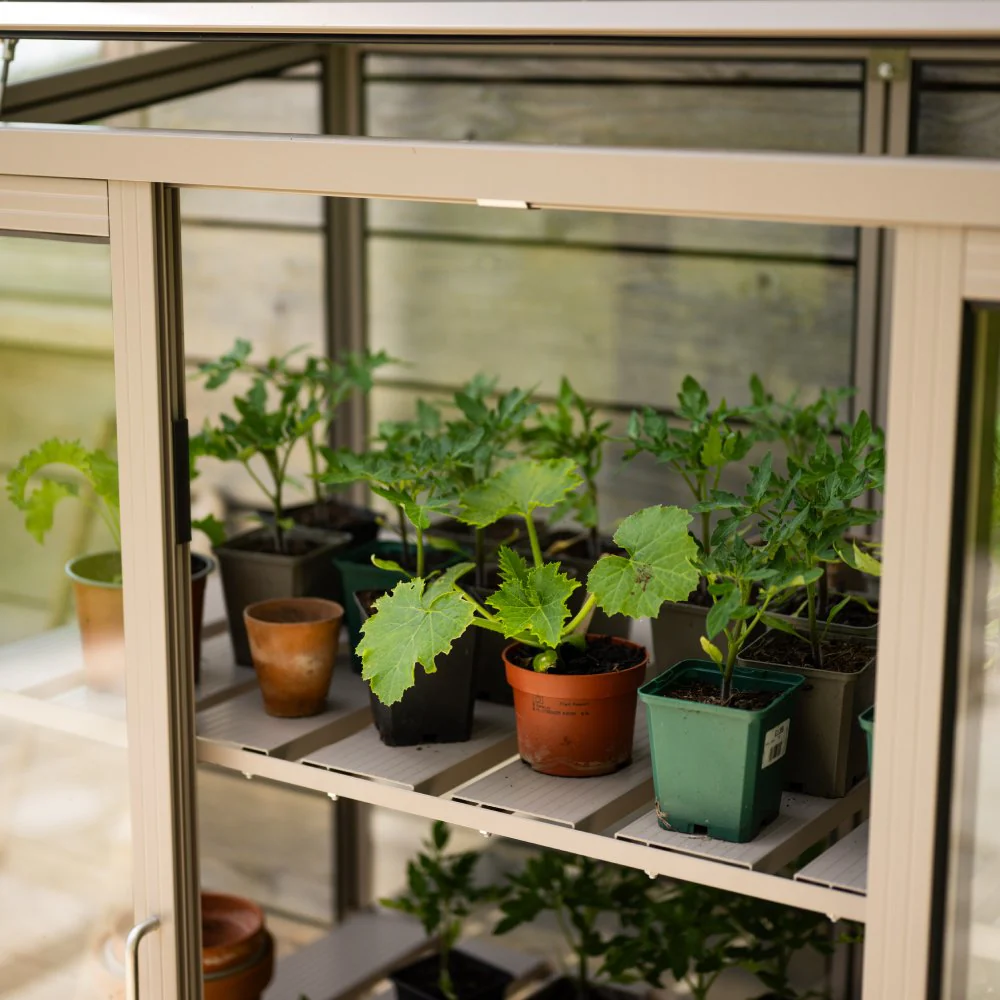 Rhino Patio Greenhouse 2x4 - Image 7